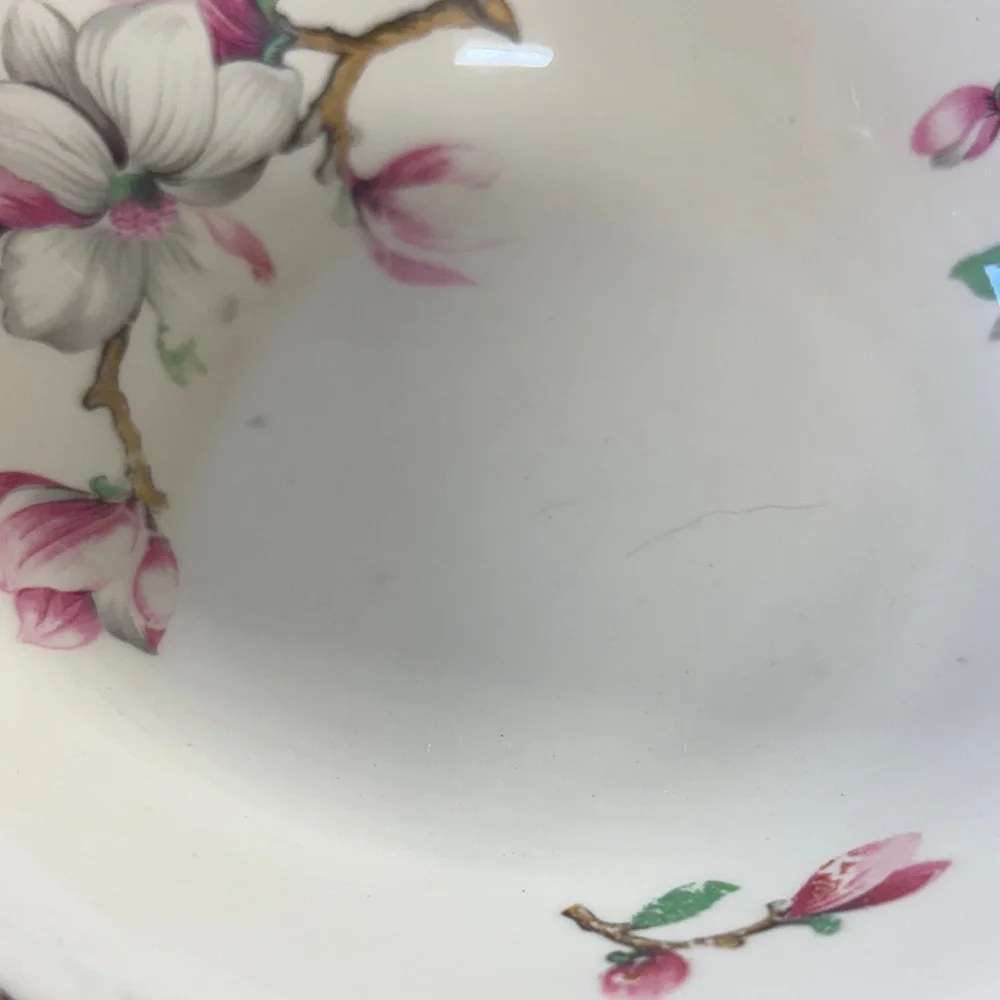 Homer Laughlin Dogwood (Liberty) Fruit/Dessert Bowls and saucers - Picture 2 of 6